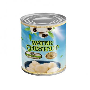 Canned Water Chestnut Whole and slices